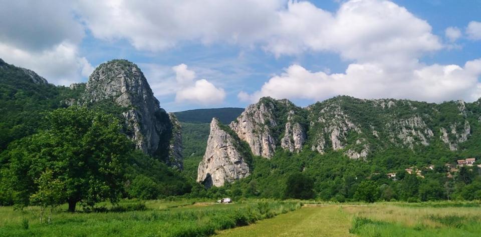 Odmaraliste Vlasko Zdrelo ピロト エクステリア 写真