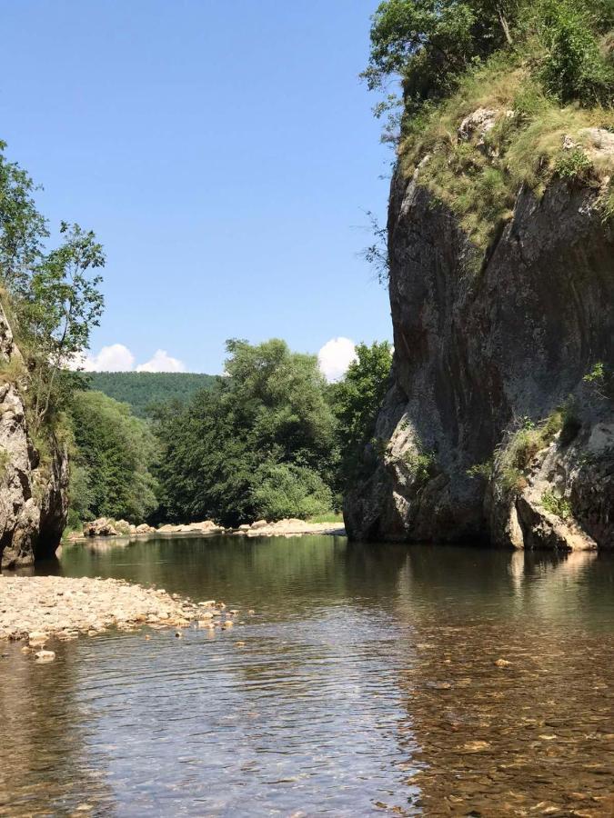 Odmaraliste Vlasko Zdrelo ピロト エクステリア 写真