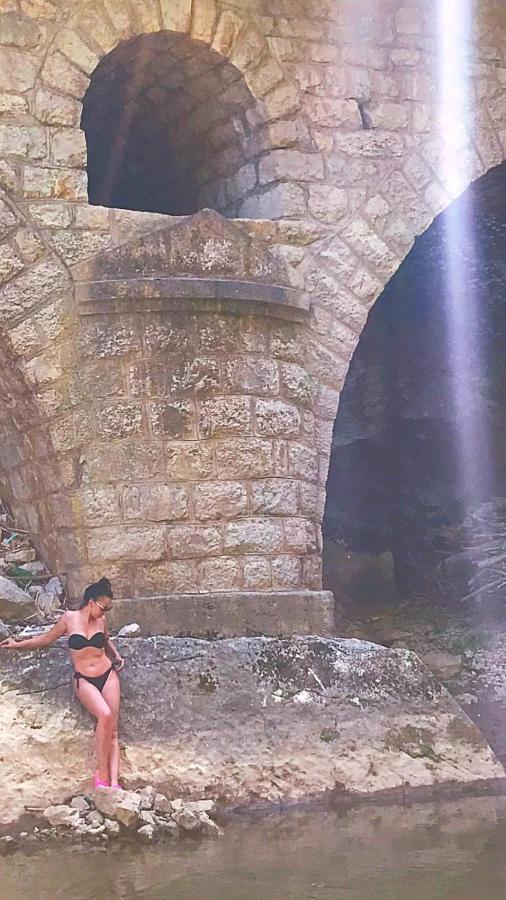 Odmaraliste Vlasko Zdrelo ピロト エクステリア 写真