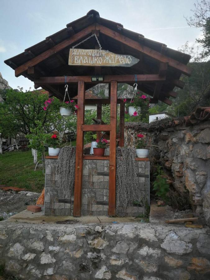 Odmaraliste Vlasko Zdrelo ピロト エクステリア 写真